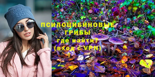 хмурый Алзамай