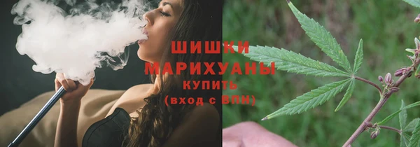ГАЛЛЮЦИНОГЕННЫЕ ГРИБЫ Аркадак
