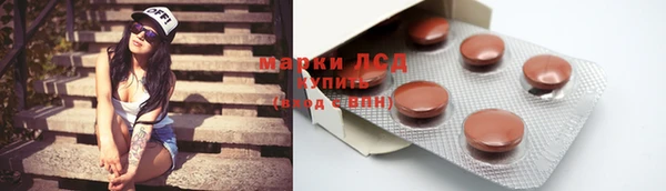 ГАЛЛЮЦИНОГЕННЫЕ ГРИБЫ Аркадак